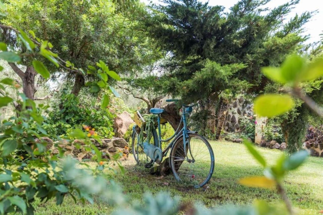 Villa Con Immenso Giardino Orosei Exterior foto